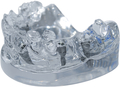 tioLogic® TWINFIT modelo de demostración, acrílico, maxilar, parcialmente con dientes, 4 implantes, sin prótesis